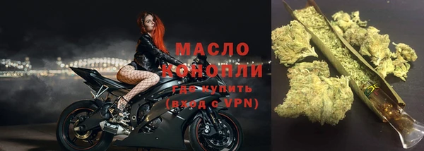 ешки Гусев