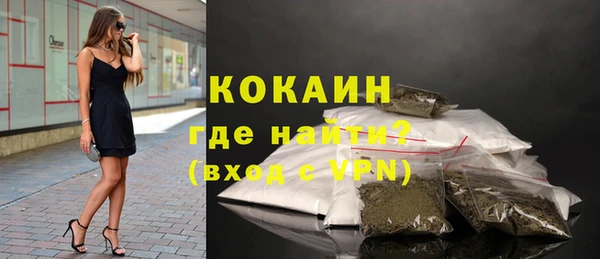 ешки Гусев