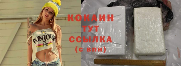 ешки Гусев