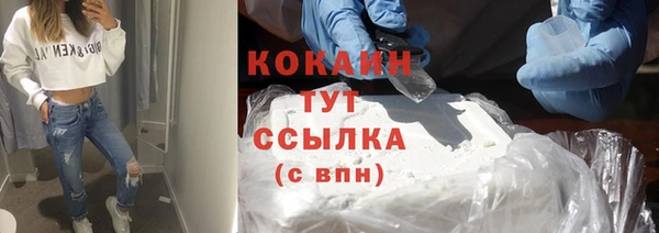 ешки Гусев