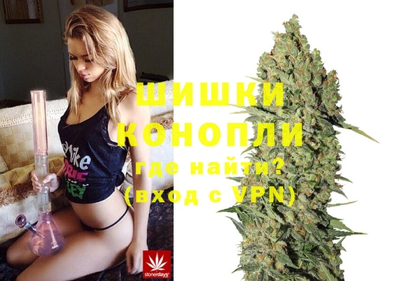 ешки Гусев