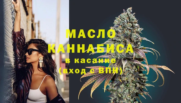 мяу мяу кристалл Гусь-Хрустальный