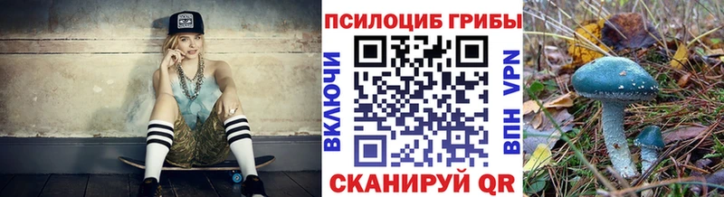 Купить где  Приморско-Ахтарск  Псилоцибиновые грибы Psilocybe 